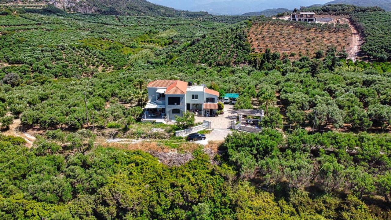 Venizelos Studios Platanias  Luaran gambar