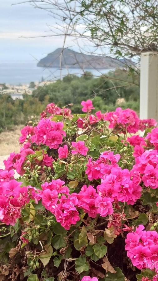 Venizelos Studios Platanias  Luaran gambar