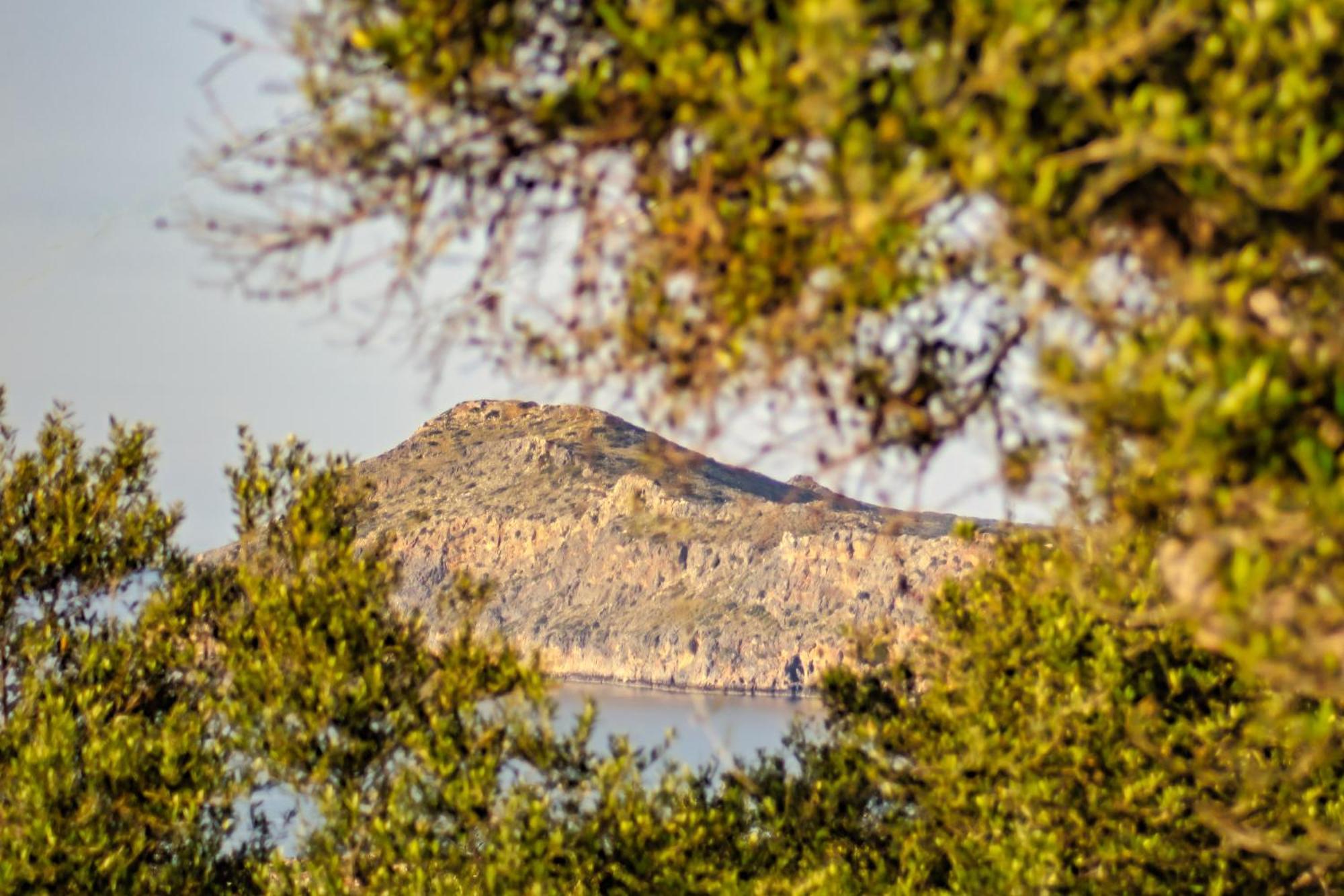 Venizelos Studios Platanias  Luaran gambar